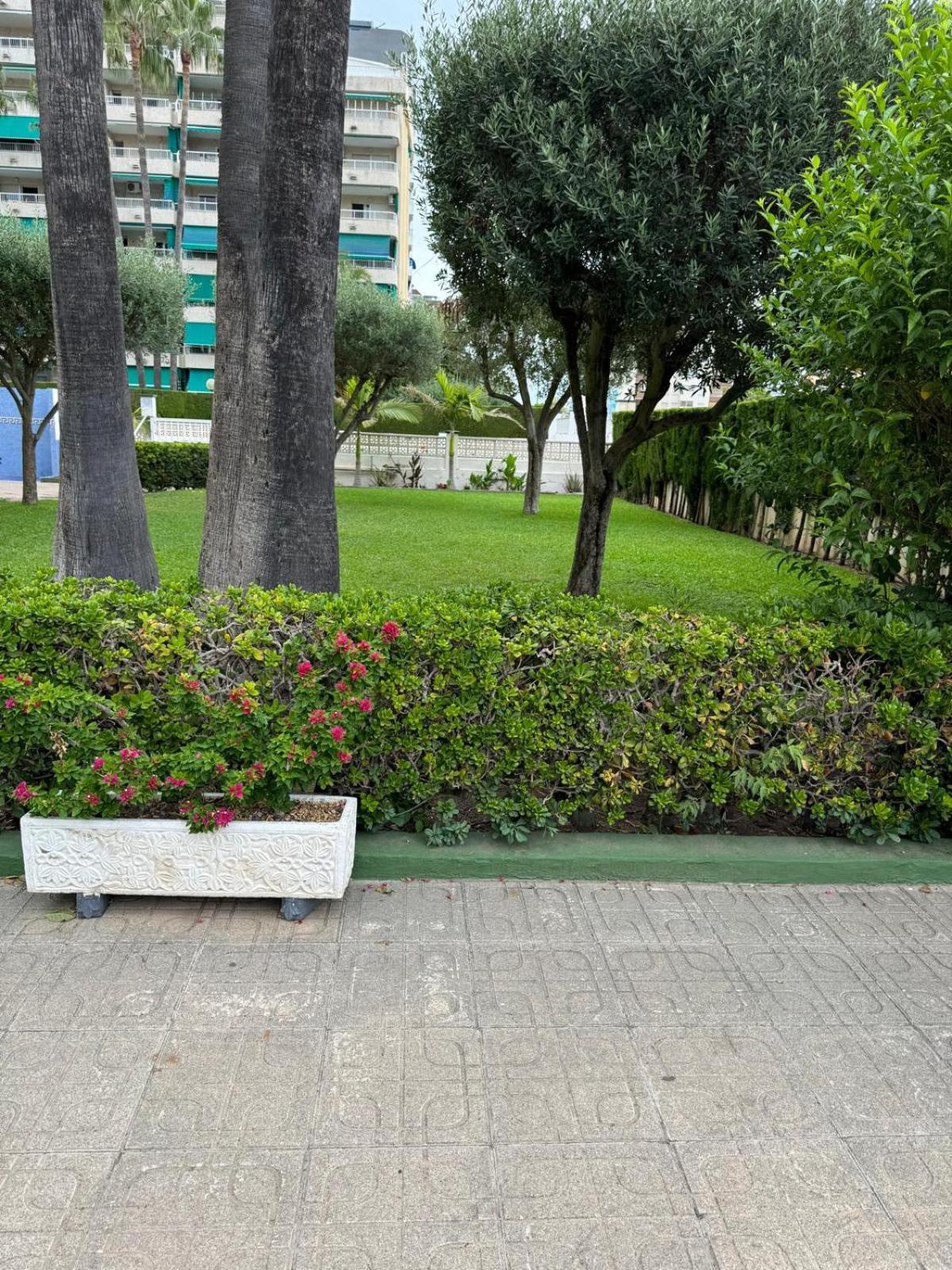 Appartement Laramar à Playa de Gandia Extérieur photo